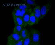 HUABIO ET1610-68 image 2