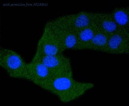 HUABIO ET1610-7 image 3