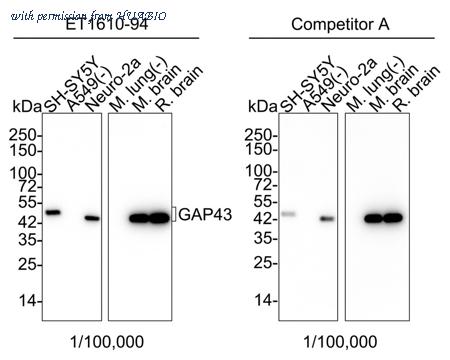 HUABIO ET1610-94-50UL image 1
