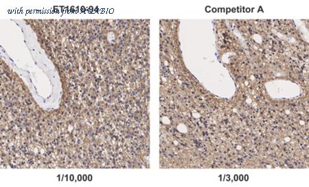 HUABIO ET1610-94-50UL image 2