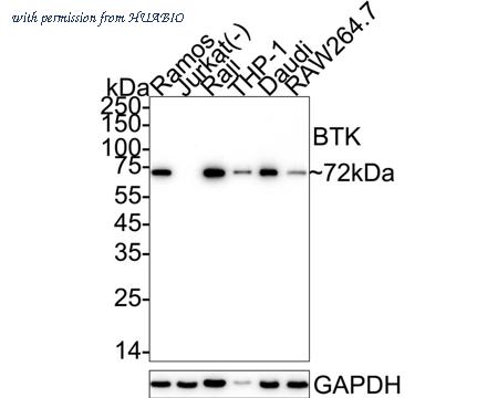 HUABIO ET1611-4 image 1