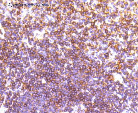 HUABIO ET1611-9 image 2