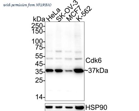 HUABIO ET1612-3 image 1