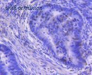 HUABIO ET1612-8 image 2