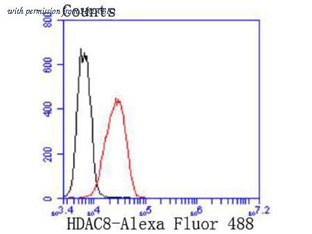 HUABIO ET1612-90 image 2