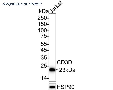 HUABIO ET1701-57 image 1