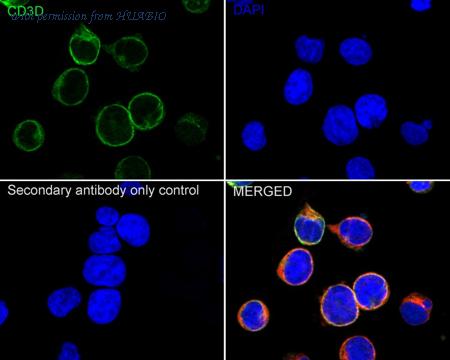 HUABIO ET1701-57 image 2