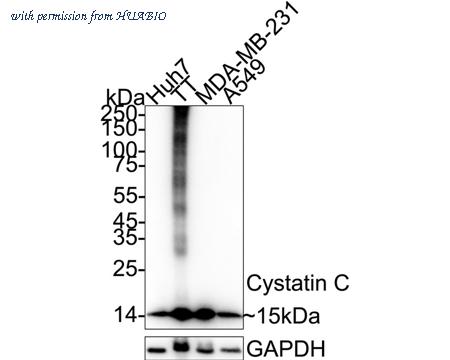 HUABIO ET1701-72 image 2