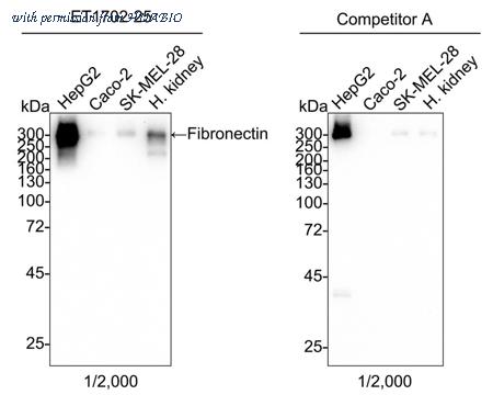 HUABIO ET1702-25 image 1