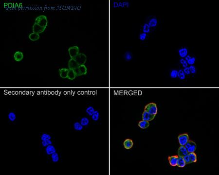 HUABIO ET1702-26 image 3