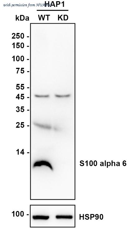 HUABIO ET1702-28 image 2