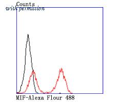 HUABIO ET1703-89 image 3