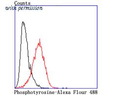 HUABIO ET1704-20 image 3