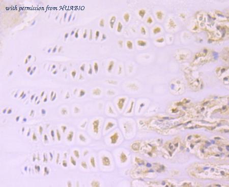 HUABIO ET1704-57 image 2