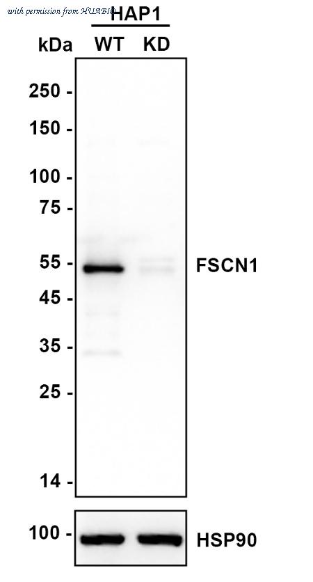 HUABIO ET1705-18 image 2