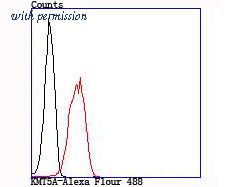 HUABIO ET1705-59 image 2