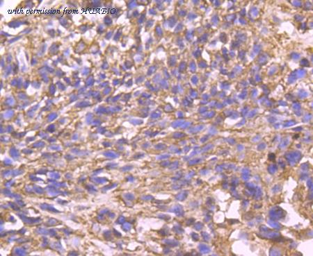 HUABIO ET1705-7 image 3