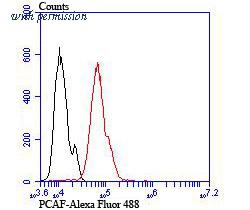 HUABIO ET7106-79 image 2