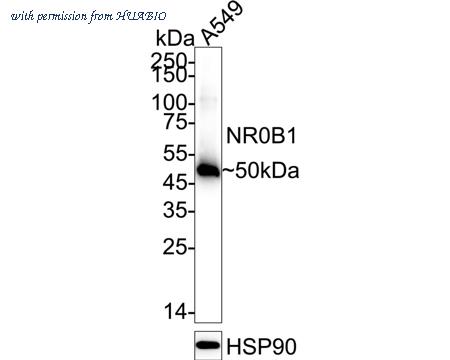 HUABIO ET7106-85 image 1