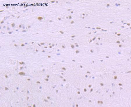 HUABIO ET7107-03 image 2