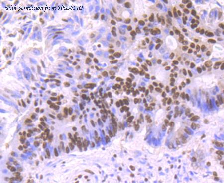 HUABIO ET7107-03 image 3