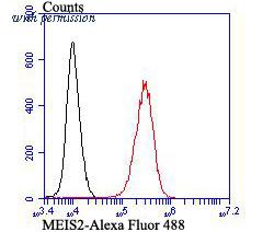 HUABIO ET7107-04 image 2
