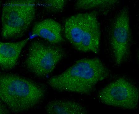 HUABIO ET7107-05 image 3