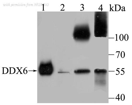 HUABIO ET7107-06 image 1