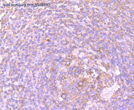 HUABIO ET7107-06 image 2