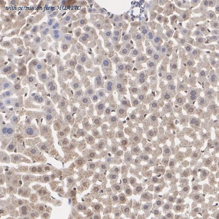 HUABIO ET7107-07 image 3