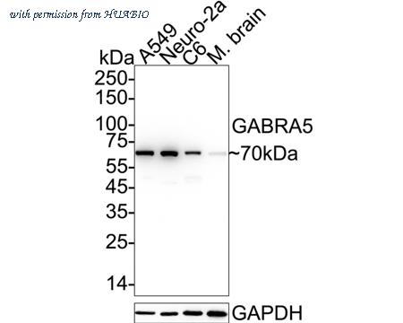 HUABIO ET7107-08 image 1