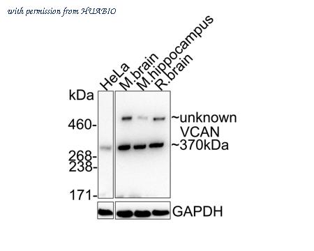 HUABIO ET7107-09 image 1