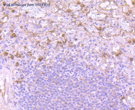 HUABIO ET7107-09 image 2