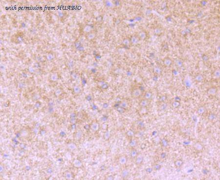 HUABIO ET7107-09 image 3