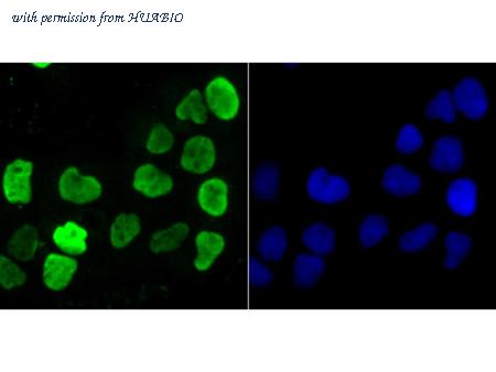 HUABIO ET7107-10 image 2