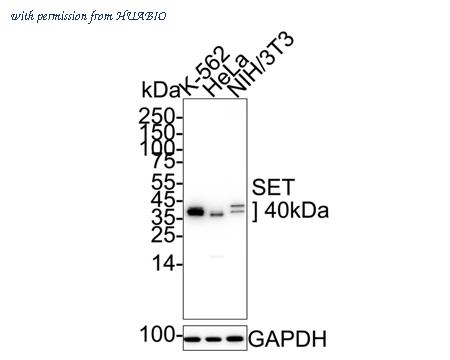 HUABIO ET7107-18 image 1