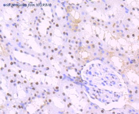 HUABIO ET7107-18 image 3