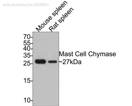 HUABIO ET7107-19 image 1
