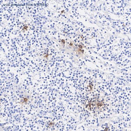 HUABIO ET7107-19 image 2