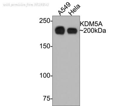 HUABIO ET7107-43 image 1