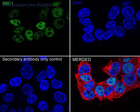 HUABIO ET7107-44 image 2
