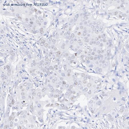 HUABIO ET7107-44 image 3