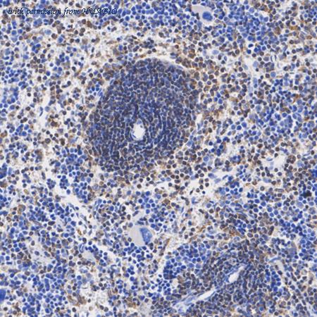 HUABIO ET7108-06 image 3