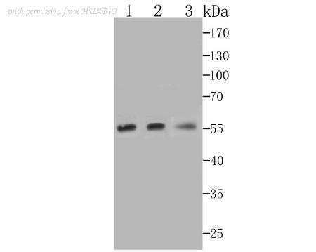 HUABIO ET7108-07 image 1