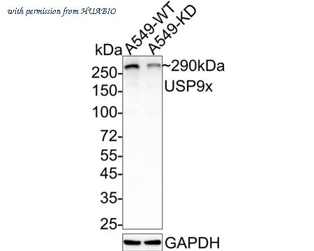 HUABIO ET7108-08 image 1
