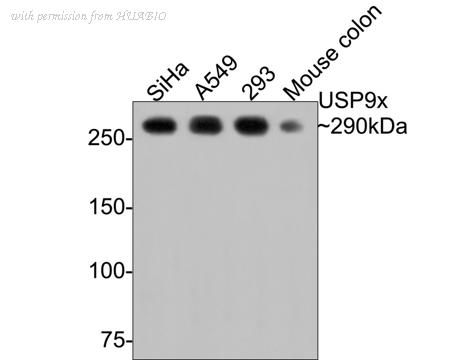 HUABIO ET7108-08 image 2