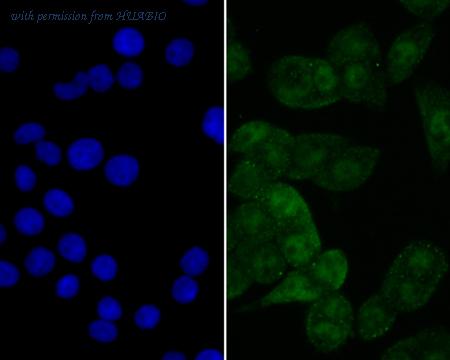 HUABIO ET7108-11 image 2