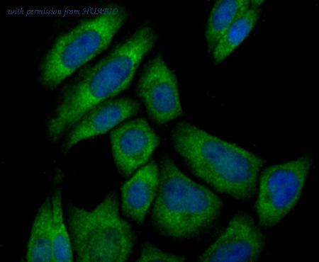 HUABIO ET7108-13 image 3