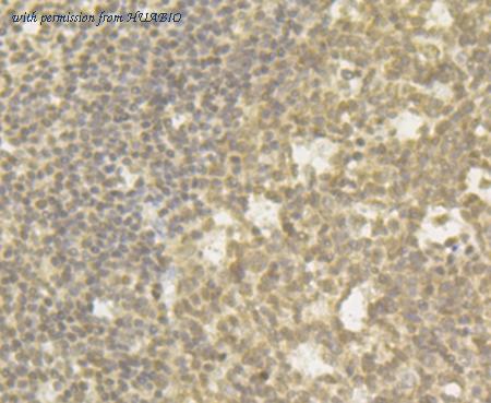 HUABIO ET7108-14 image 2