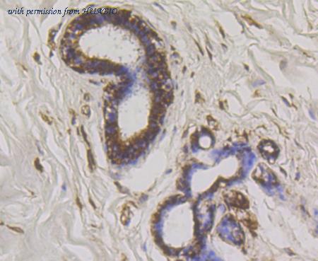 HUABIO ET7108-41 image 3